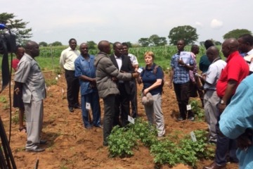 group of people observing potato crops